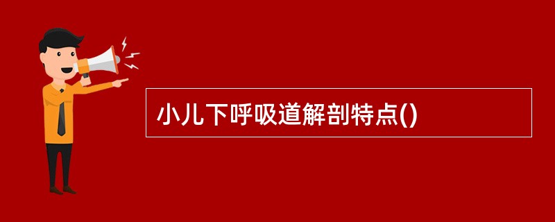 小儿下呼吸道解剖特点()