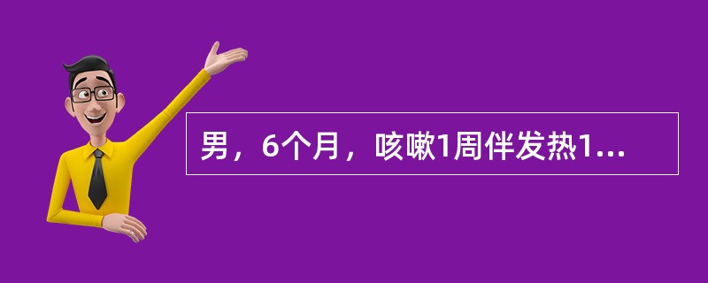 男，6个月，咳嗽1周伴发热1天。查体：呼吸60次/分，口周青，双肺闻中小水泡音，心率180次/分，肝肋下3.5cm，胸片：双下肺模糊片影，心胸比例0.65最可能的诊断