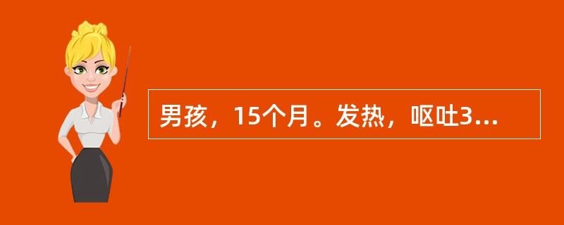 男孩，15个月。发热，呕吐3天，伴剧烈哭闹，不断用手抚摸头部1天，全身性抽搐两次，每次约3分钟缓解，抽后嗜睡。体温38.8℃，神志恍惚，面色灰白，颈项强直，心肺无异常。末梢血检查：白细胞明显升高，以中