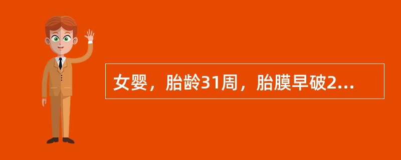 女婴，胎龄31周，胎膜早破21小时，顺产，出生体重1500g，生后4小时出现呼吸急促、呻吟及发绀，并进行性加重，而且伴呼吸暂停2次。查体：呼吸促，三凹征阳性，双肺呼吸音低，心率150次/分，四肢肌张力