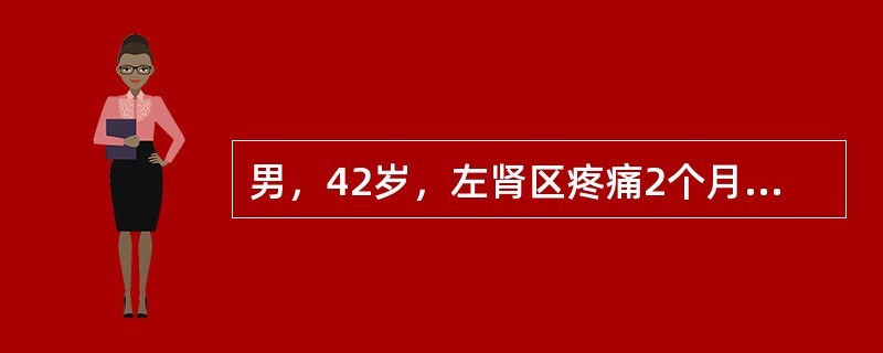 男，42岁，左肾区疼痛2个月，反复发作，静脉肾盂造影检查示左输尿管上段有直径1．8cm的结石，伴左肾积水适宜的处理是