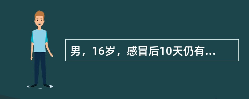 男，16岁，感冒后10天仍有鼻堵、黄涕、头痛。下列哪项治疗对该病不宜