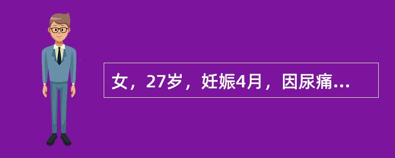 女，27岁，妊娠4月，因尿痛、尿频、尿急2天来诊，无发热与肉眼血尿。尿常规：蛋白(±)，沉渣镜检白细胞满视野。首先哪种药物治疗