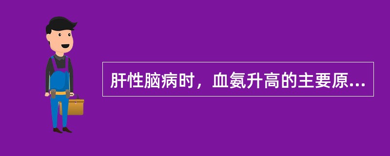 肝性脑病时，血氨升高的主要原因是