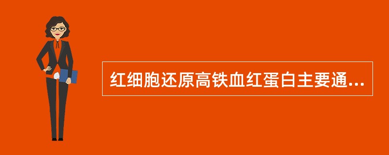 红细胞还原高铁血红蛋白主要通过的途径包括