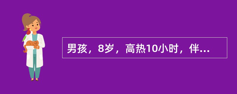 男孩，8岁，高热10小时，伴有头痛，呕吐，球结膜充血，全身散在淤点，颈软，血压9.3／5.3kPa，脑脊液检查：细胞数15×10<img border="0" src=&qu