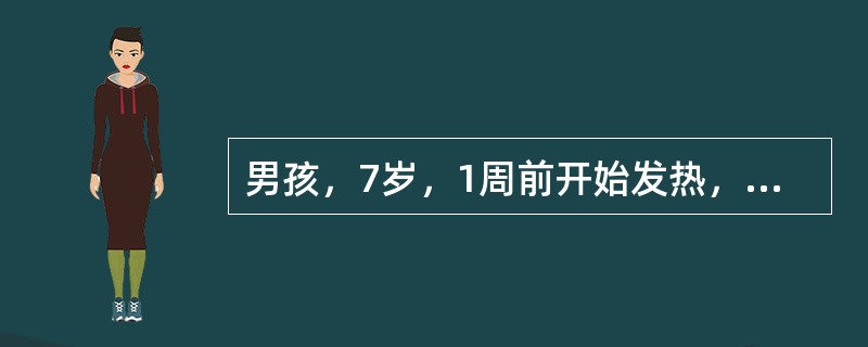 男孩，7岁，1周前开始发热，全身不适，食欲下降，大便干结，轻度腹胀，近2日轻咳无痰。体检：体温38.9℃，神志清，软弱，心脏无异常，两肺呼吸音略粗，肝肋下2cm，脾肋下5cm，无压痛。血常规：白细胞数