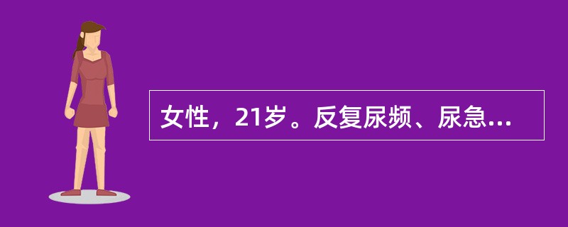 女性，21岁。反复尿频、尿急、尿痛2年，加重伴肉眼血尿、发热2天。最可能的诊断是