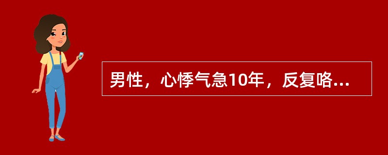 男性，心悸气急10年，反复咯血，心尖部舒张期隆隆样杂音，第一心音亢进，可闻及开瓣音，P2亢进，近日来阵发性心悸，心电图示：快速房颤，X线呈梨形心。此病例M超声心动图二尖瓣频谱为