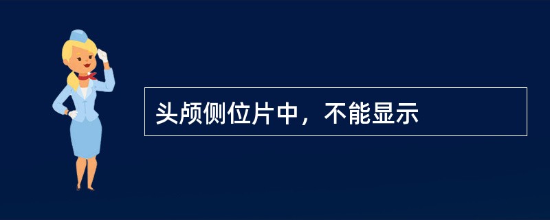 头颅侧位片中，不能显示