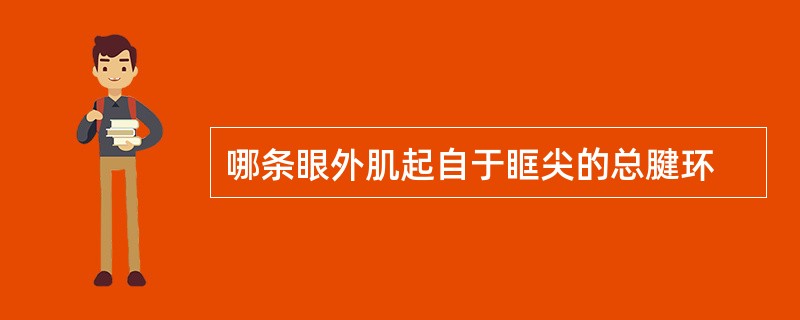 哪条眼外肌起自于眶尖的总腱环