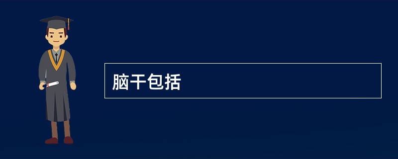 脑干包括