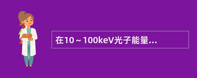 在10～100keV光子能量范围内，光子能量在10keV时光电吸收力95%以上，康普顿吸收为5%。光子能量为100keV时，康普顿吸收占95%以上。下列叙述正确的是