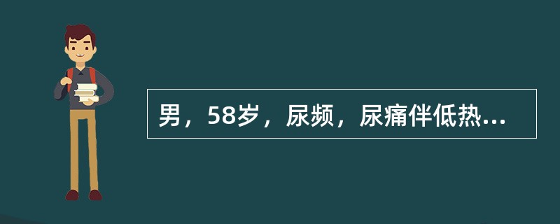 男，58岁，尿频，尿痛伴低热乏力2月，CT如图所示，下列说法正确的是()<img border="0" style="width: 181px; height: 1