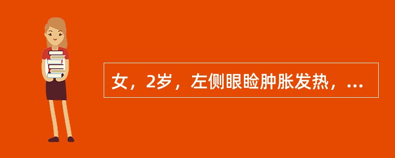 女，2岁，左侧眼睑肿胀发热，CT检查如图所示，正确的描述或诊断是()<img border="0" style="width: 307px; height: 230