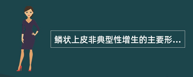 鳞状上皮非典型性增生的主要形态学特点包括