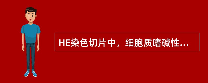HE染色切片中，细胞质嗜碱性强的可能原因是有丰富的()