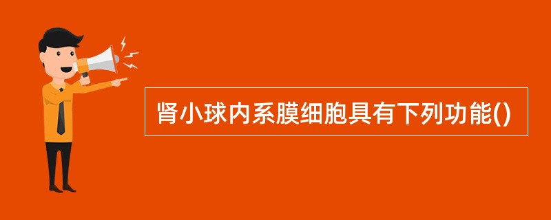 肾小球内系膜细胞具有下列功能()