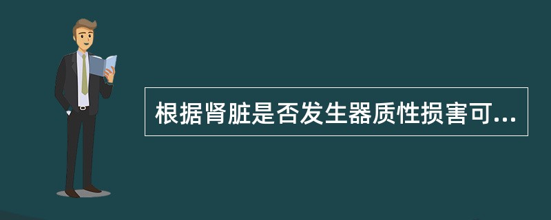 根据肾脏是否发生器质性损害可将急性肾功能衰竭分为