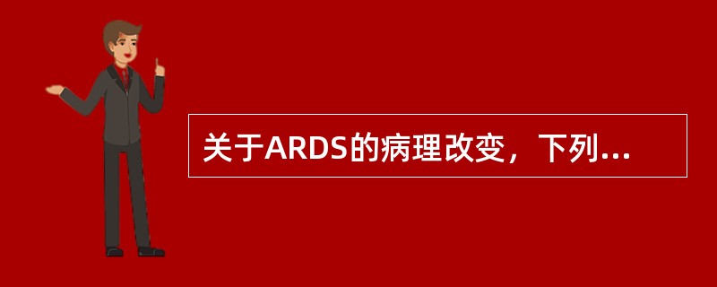 关于ARDS的病理改变，下列哪项描述是正确的