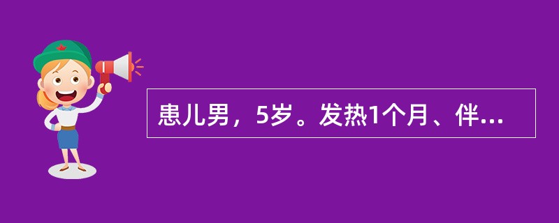 患儿男，5岁。发热1个月、伴双下肢疼痛一周入院。体检：体温38.5℃，面色苍白，下肢有少许散在出血点，浅表淋巴结易触及，如绿豆至黄豆大，心、肺无异常，肝肋下2cm，脾无肿大，双下肢无明显关节红肿，神经