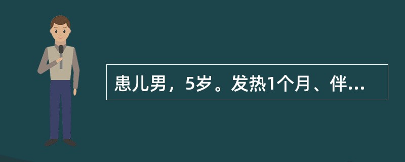 患儿男，5岁。发热1个月、伴双下肢疼痛一周入院。体检：体温38.5℃，面色苍白，下肢有少许散在出血点，浅表淋巴结易触及，如绿豆至黄豆大，心、肺无异常，肝肋下2cm，脾无肿大，双下肢无明显关节红肿，神经