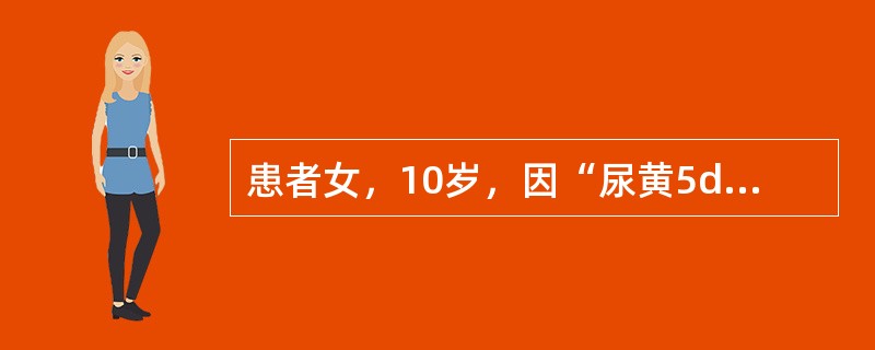 患者女，10岁，因“尿黄5d，腹泻、恶心、呕吐2d”来诊。既往无肝炎病史。查体：T37℃，P80次/min，R28次/min，BP100/75mmHg；皮肤、巩膜明显黄染；腹部稍膨隆，腹软，中下腹部压