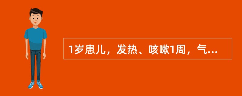 1岁患儿，发热、咳嗽1周，气急3天。查体：体温39℃，皮肤猩红热样皮疹，呼吸60次/分，鼻翼翕动，两肺细湿啰音，右肺背部叩诊浊音，心率150次/分，律齐，肝肋下5cm。血白细胞12.0×109/L，中