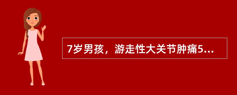 7岁男孩，游走性大关节肿痛5天，双下肢伸面散在紫红色丘疹2天。病前1周喉痛和发热38.6℃，用抗生素治疗后已愈。体检：一般状况好，关节无红肿，活动自如，心、肺、腹（-），四肢关节伸面可见高出皮面的紫红