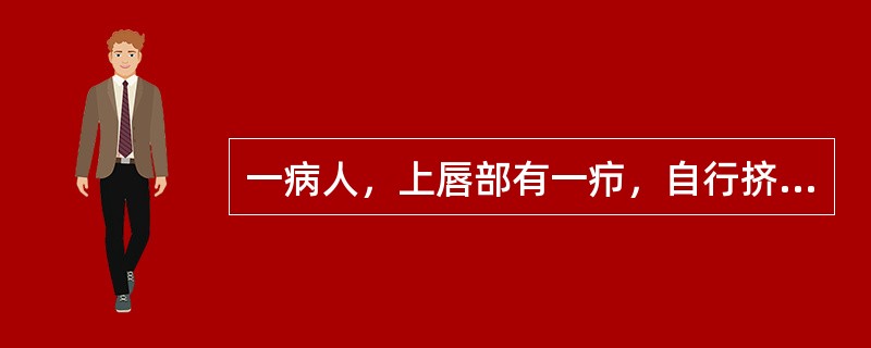 一病人，上唇部有一疖，自行挤压后出现发热，头痛，呕吐，意识障碍。该感染主要的病菌是