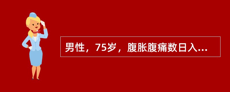 男性，75岁，腹胀腹痛数日入院。HR106次／分，BP100／55mmHg；血气分析：PO78mmHg，PCO48mmHg，HCO19mmol／L，pH7.20；血常规检查：WBC12×10／L，Hb