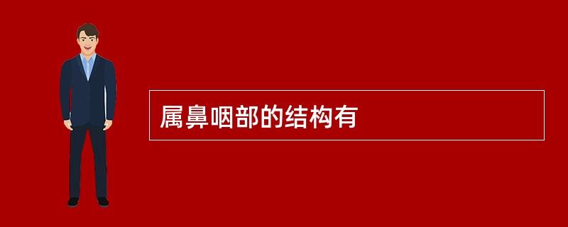 属鼻咽部的结构有