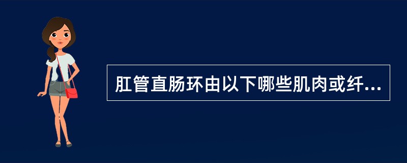 肛管直肠环由以下哪些肌肉或纤维组成