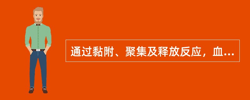 通过黏附、聚集及释放反应，血小板在止血过程中发挥的作用有