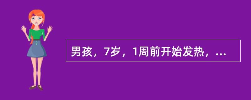 男孩，7岁，1周前开始发热，全身不适，食欲下降，大便干结，轻度腹胀，近2日轻咳无痰。体检：体温38.9℃，神志清，软弱，心脏无异常，两肺呼吸音略粗，肝肋下2cm，脾肋下5cm，无压痛。血常规：白细胞数