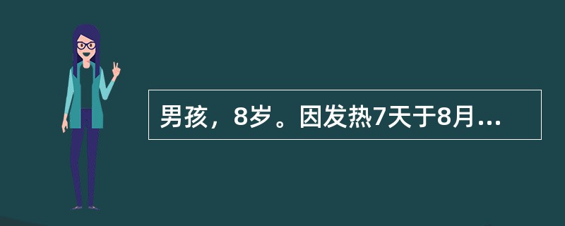 男孩，8岁。因发热7天于8月份入院。体检：表情淡漠，躯干部散在数枚淡红色斑丘疹，咽不红，颈部淋巴结数枚，黄豆大小，心肺无异常。腹胀、肝肋下3cm，脾肋下2cm。实验室检查，WBC7×10<img