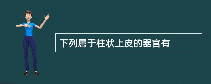 下列属于柱状上皮的器官有