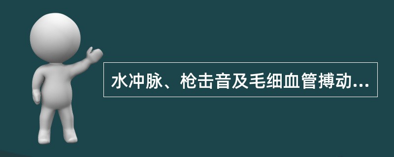 水冲脉、枪击音及毛细血管搏动征可见于