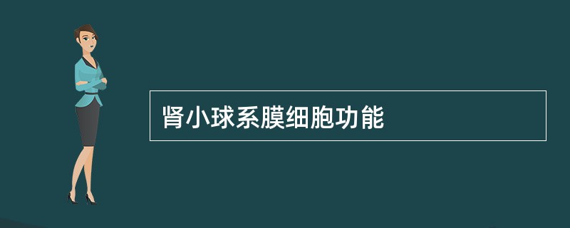 肾小球系膜细胞功能