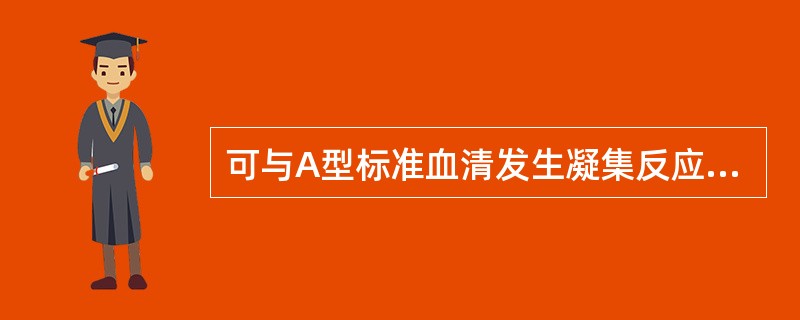 可与A型标准血清发生凝集反应的血型有()