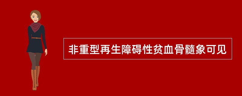 非重型再生障碍性贫血骨髓象可见