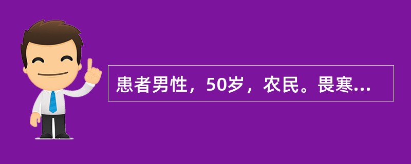 患者男性，50岁，农民。畏寒、发热、全身酸痛、腰痛3天。大便稀，5～6次/日，伴呕吐6次。查体：T39.8℃，P108次/分，R26次/分，BP90/60mmHg，神志清楚，烦躁，急性重病容，眼结膜明