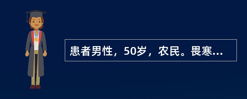 患者男性，50岁，农民。畏寒、发热、全身酸痛、腰痛3天。大便稀，5～6次/日，伴呕吐6次。查体：T39.8℃，P108次/分，R26次/分，BP90/60mmHg，神志清楚，烦躁，急性重病容，眼结膜明