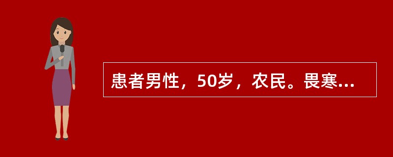 患者男性，50岁，农民。畏寒、发热、全身酸痛、腰痛3天。大便稀，5～6次/日，伴呕吐6次。查体：T39.8℃，P108次/分，R26次/分，BP90/60mmHg，神志清楚，烦躁，急性重病容，眼结膜明