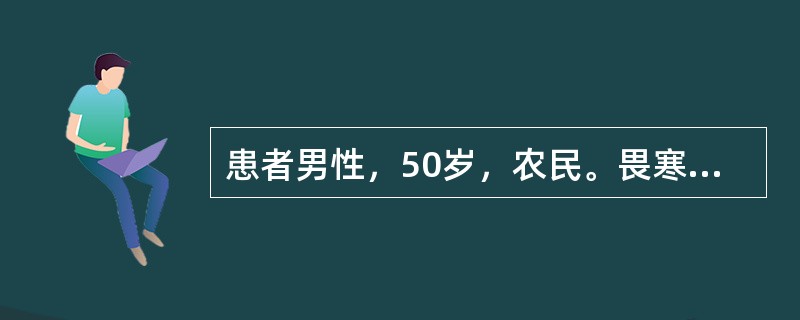 患者男性，50岁，农民。畏寒、发热、全身酸痛、腰痛3天。大便稀，5～6次/日，伴呕吐6次。查体：T39.8℃，P108次/分，R26次/分，BP90/60mmHg，神志清楚，烦躁，急性重病容，眼结膜明