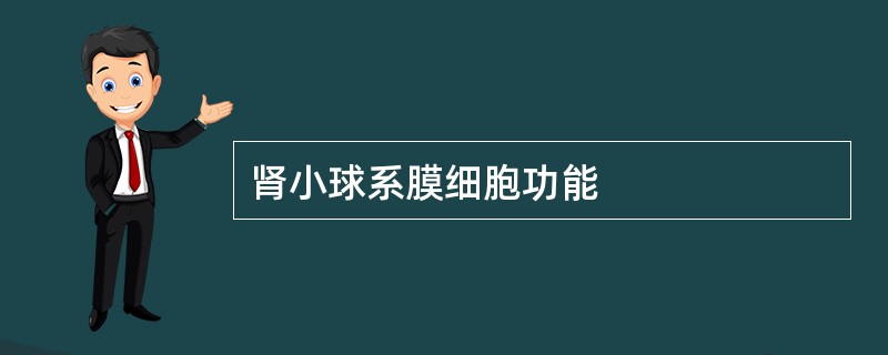 肾小球系膜细胞功能