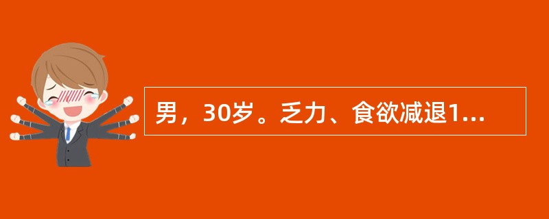 男，30岁。乏力、食欲减退1年。Hb90g/L，MCV110fl，MCH36pg，MCHC330g/L。最可能的病因是