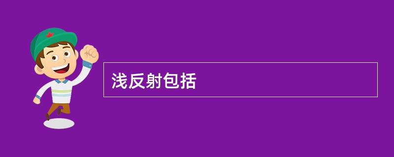 浅反射包括