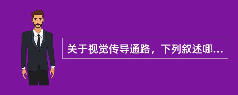 关于视觉传导通路，下列叙述哪些正确