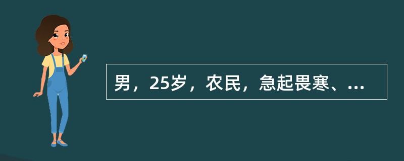 男，25岁，农民，急起畏寒、高热、全身酸痛6天，烦躁不安、气促1天，8月3日入院。查体：呼吸32次/分，心率132次/分，面色苍白，双肺有干湿性啰音，X线：有散在片状阴影且有融合趋势，血象：WBC15